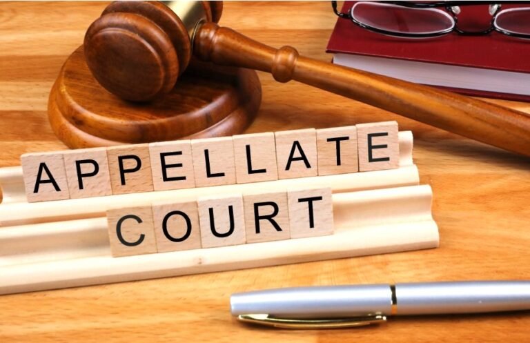 Section 295: Appeal to the Appellate Division.