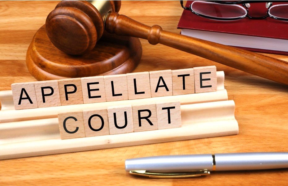 Section 295: Appeal to the Appellate Division.