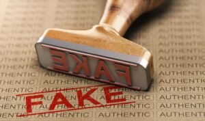 Section 316 : Punishment for Furnishing Fake Audited Statement Subject to Verification.