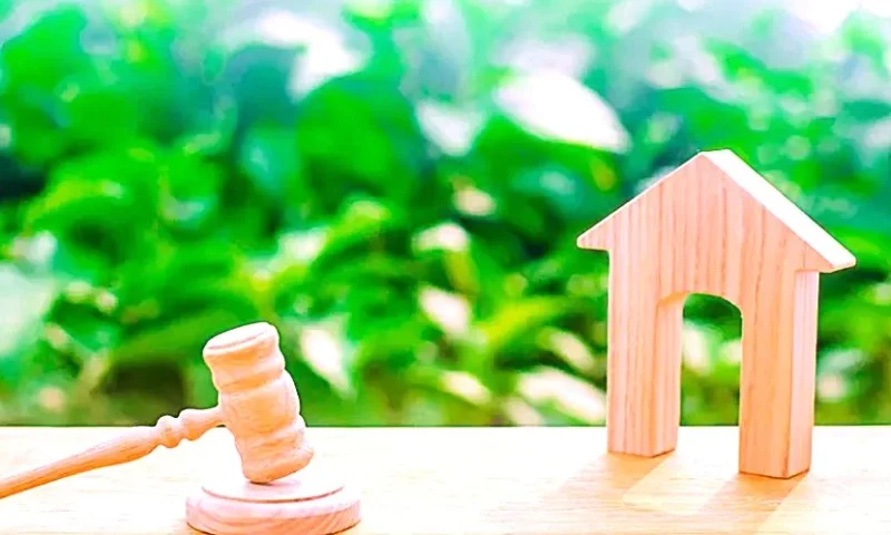 Section 101 of the VAT Act: Responsibilities and Liabilities